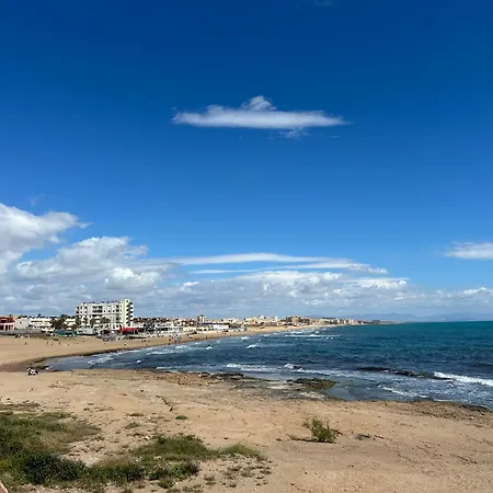 Mimosa Molino Blanco La Mata Torrevieja