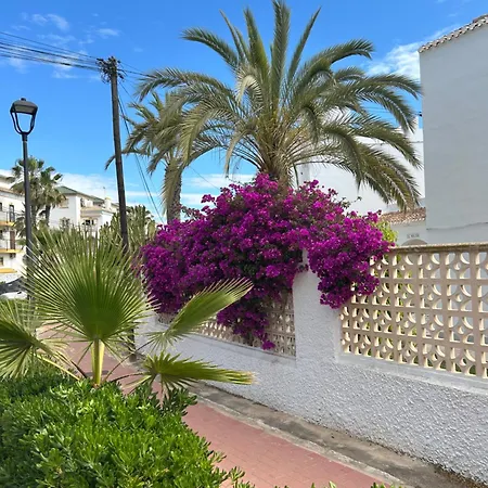 Mimosa Molino Blanco La Mata * Torrevieja